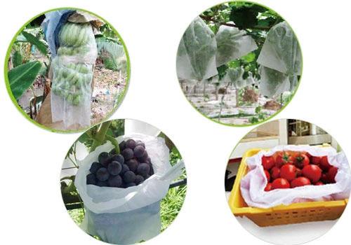 Nonwoven fruit cover bag Nonwoven fruit cover bag