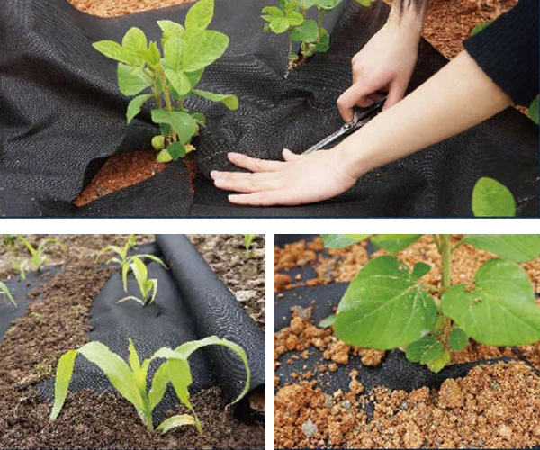 PP nonwoven weed control fabric PP nonwoven weed control fabric