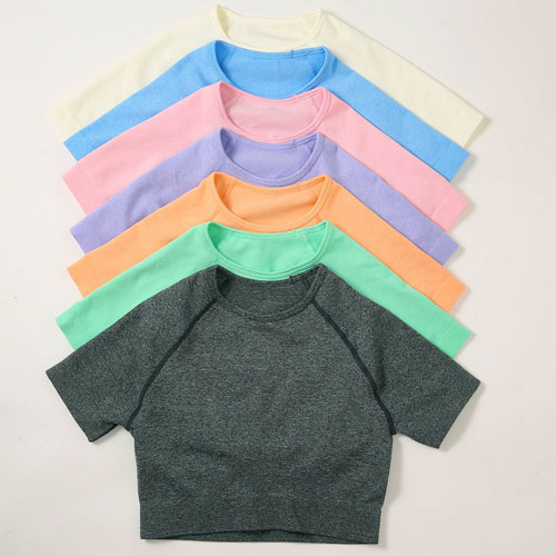 Seamless Sport Top Seamless Sport Top