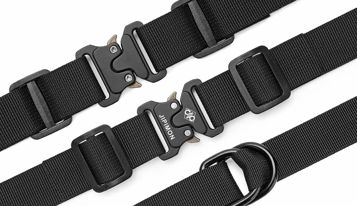 buckle 3
