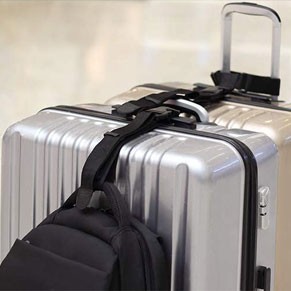 bag luggage series