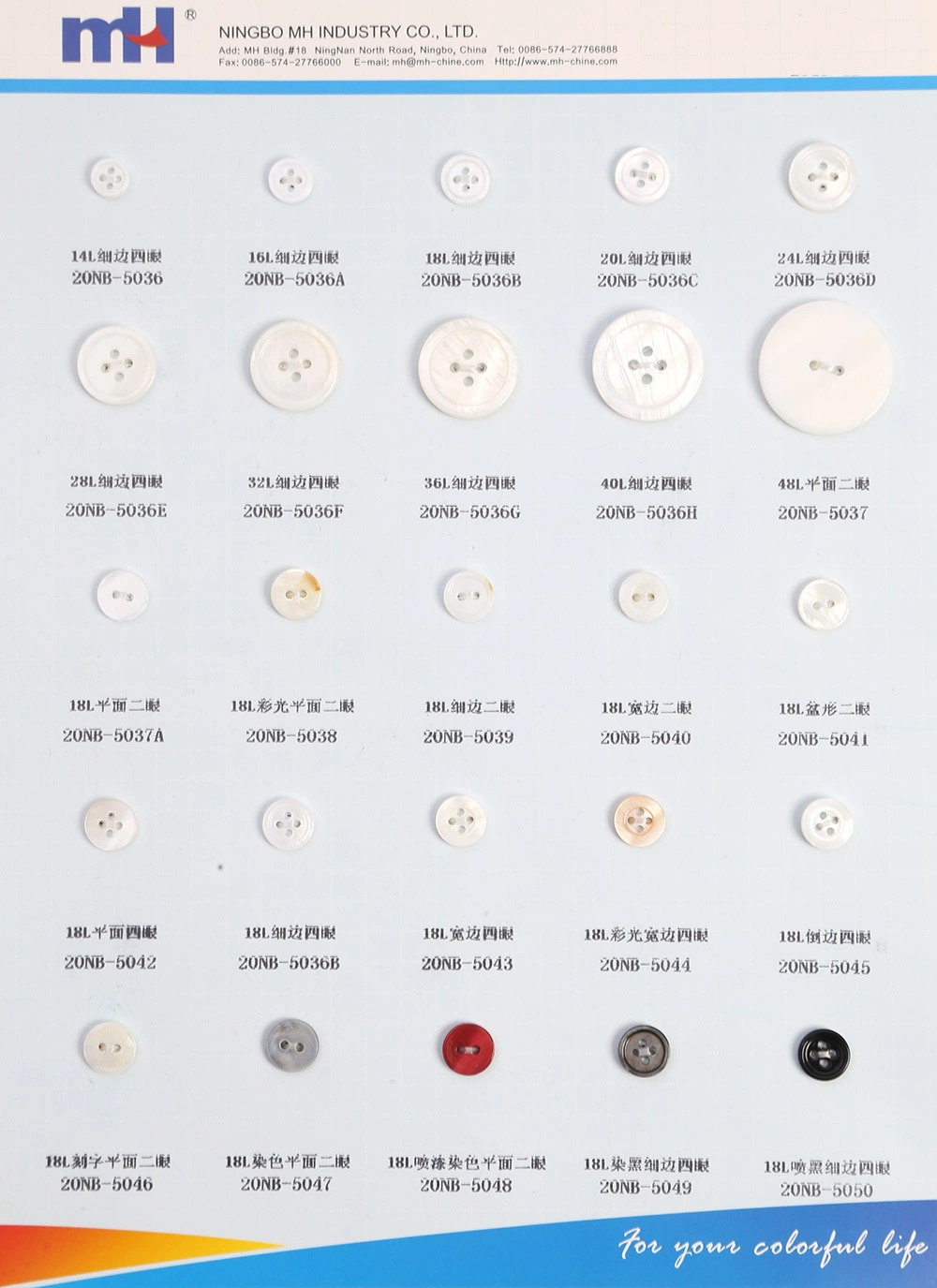 Shell Button Shell Button