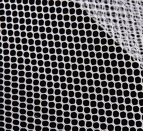 Polyester warp knitted net fabric 50D