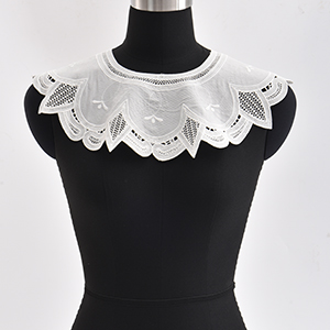 1 Piece Embroidery Organza Lace Collar