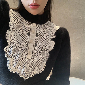 1 Piece Embroidery Organza Lace Collar