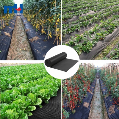 Nonwoven Geotextile Fabric