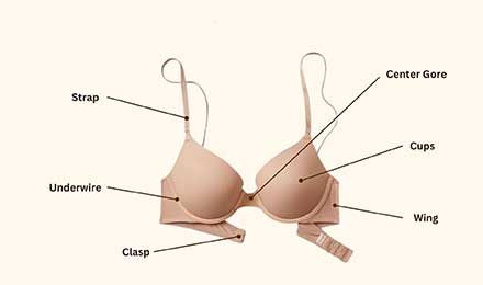 The Ultimate Guide to Accessories For Bra