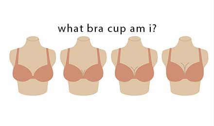 What Bra Cup Am I? A Comprehensive Guide to Finding Your Size