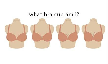 What Bra Cup Am I? A Comprehensive Guide to Finding Your Size