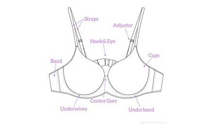 Essential Bra Accessories for Lingerie Buyers and Wholesalers